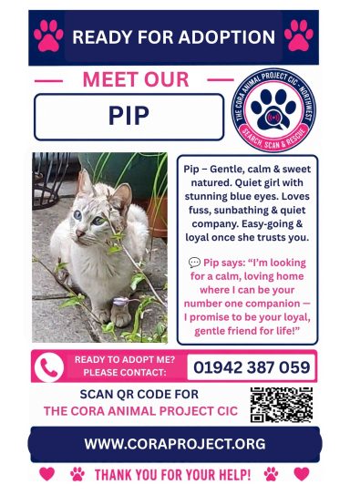 PIP