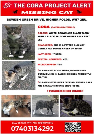 CORA - CAT